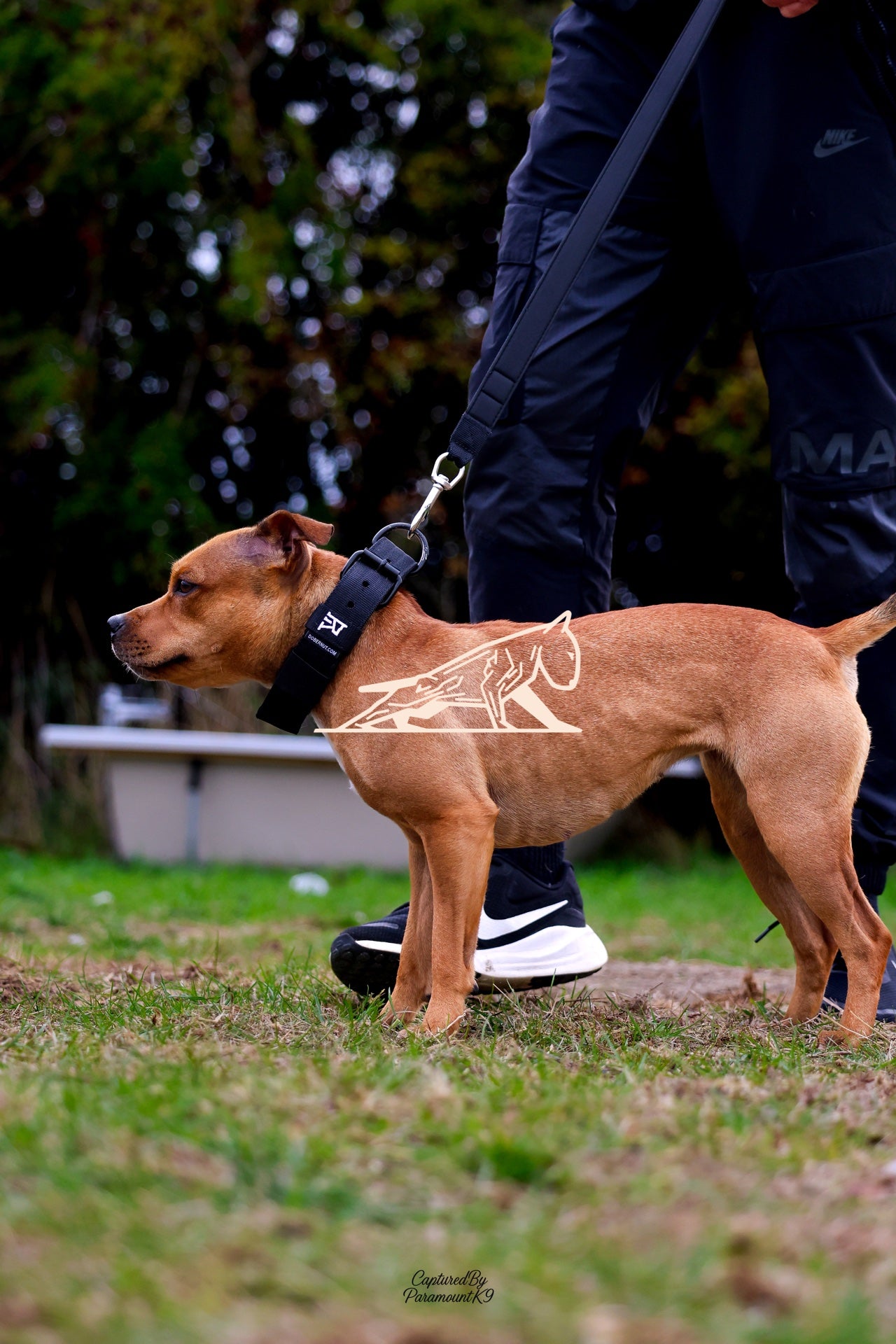 Topline's Ultra Games - Image 016