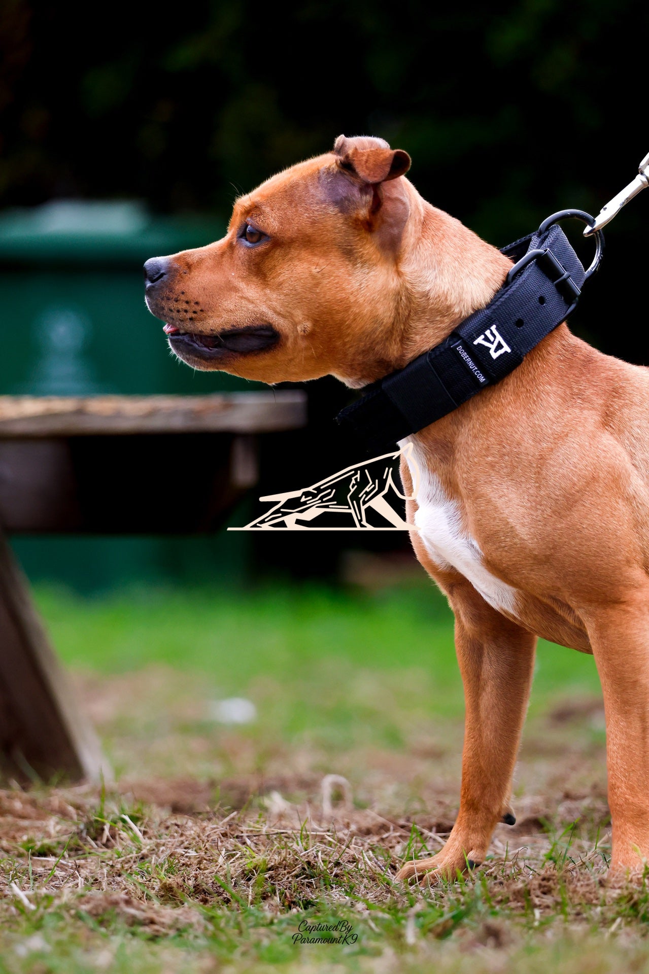 Topline's Ultra Games - Image 017