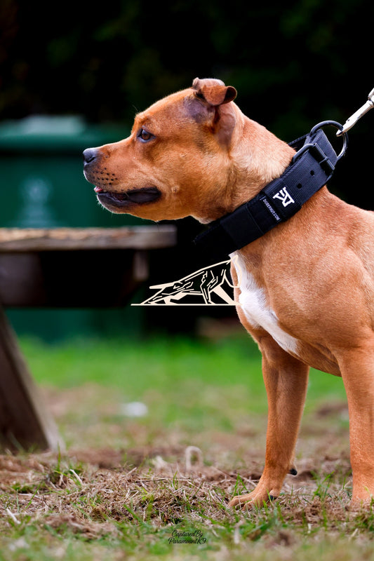 Topline's Ultra Games - Image 017