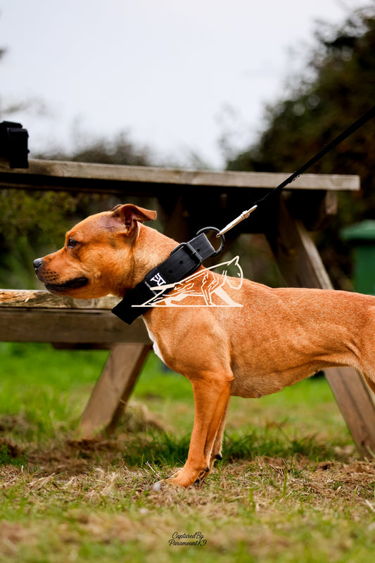 Topline's Ultra Games - Image 018