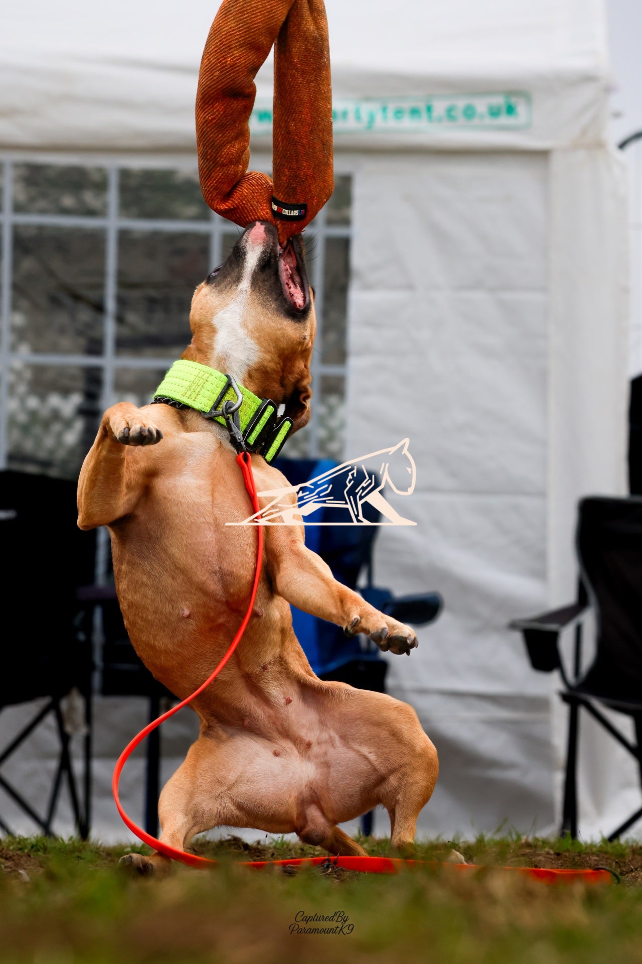 Topline's Ultra Games - Image 019