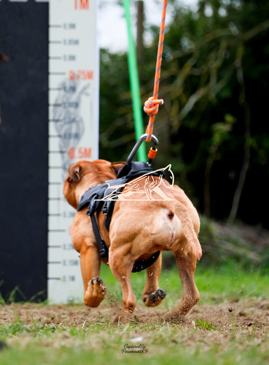 Topline's Ultra Games - Image 022