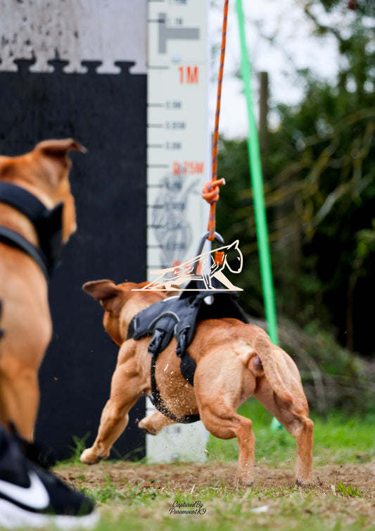 Topline's Ultra Games - Image 023