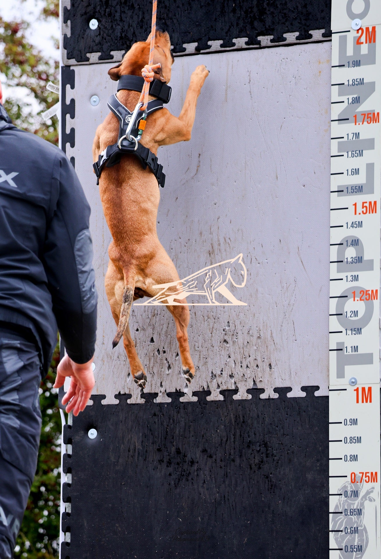 Topline's Ultra Games - Image 024