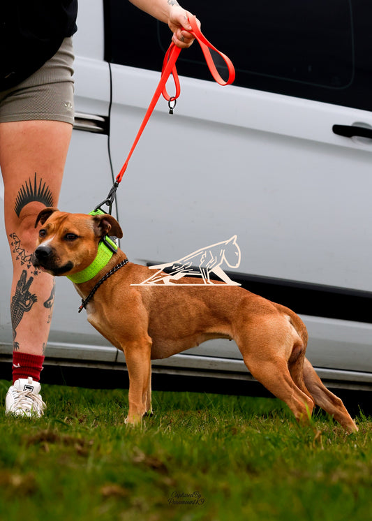 Topline's Ultra Games - Image 027