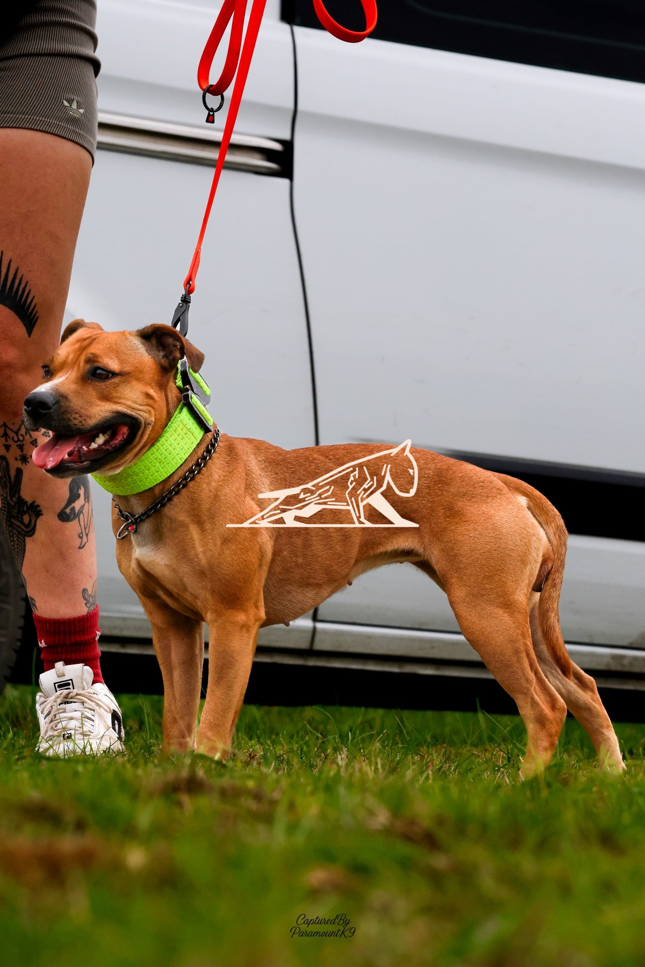 Topline's Ultra Games - Image 028