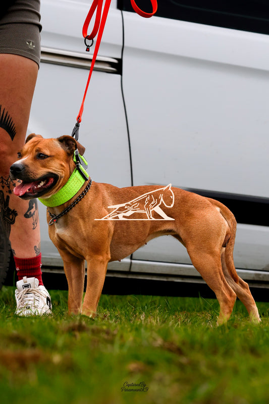 Topline's Ultra Games - Image 028