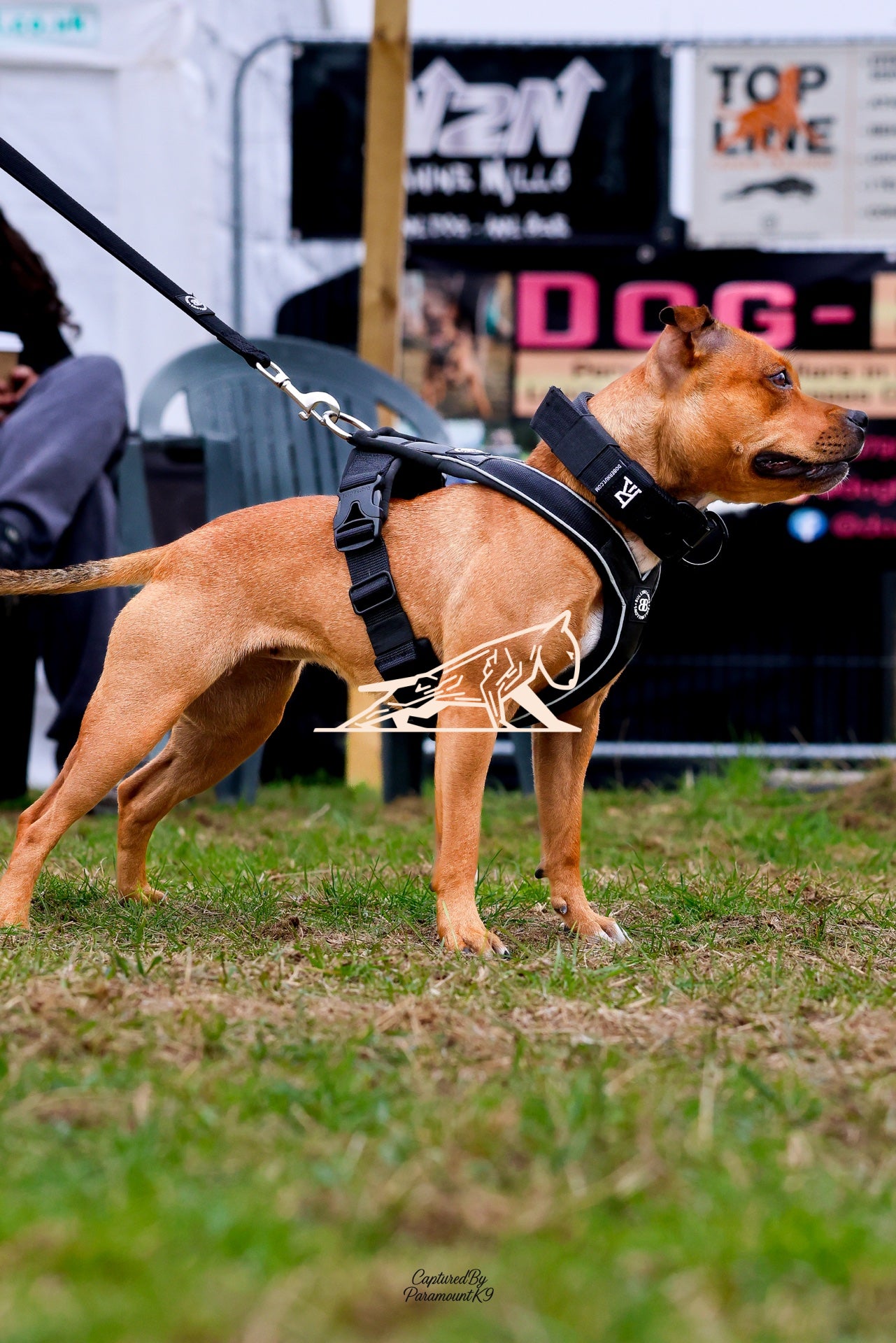 Topline's Ultra Games - Image 029