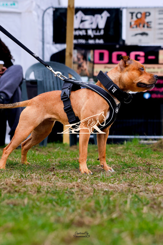 Topline's Ultra Games - Image 029