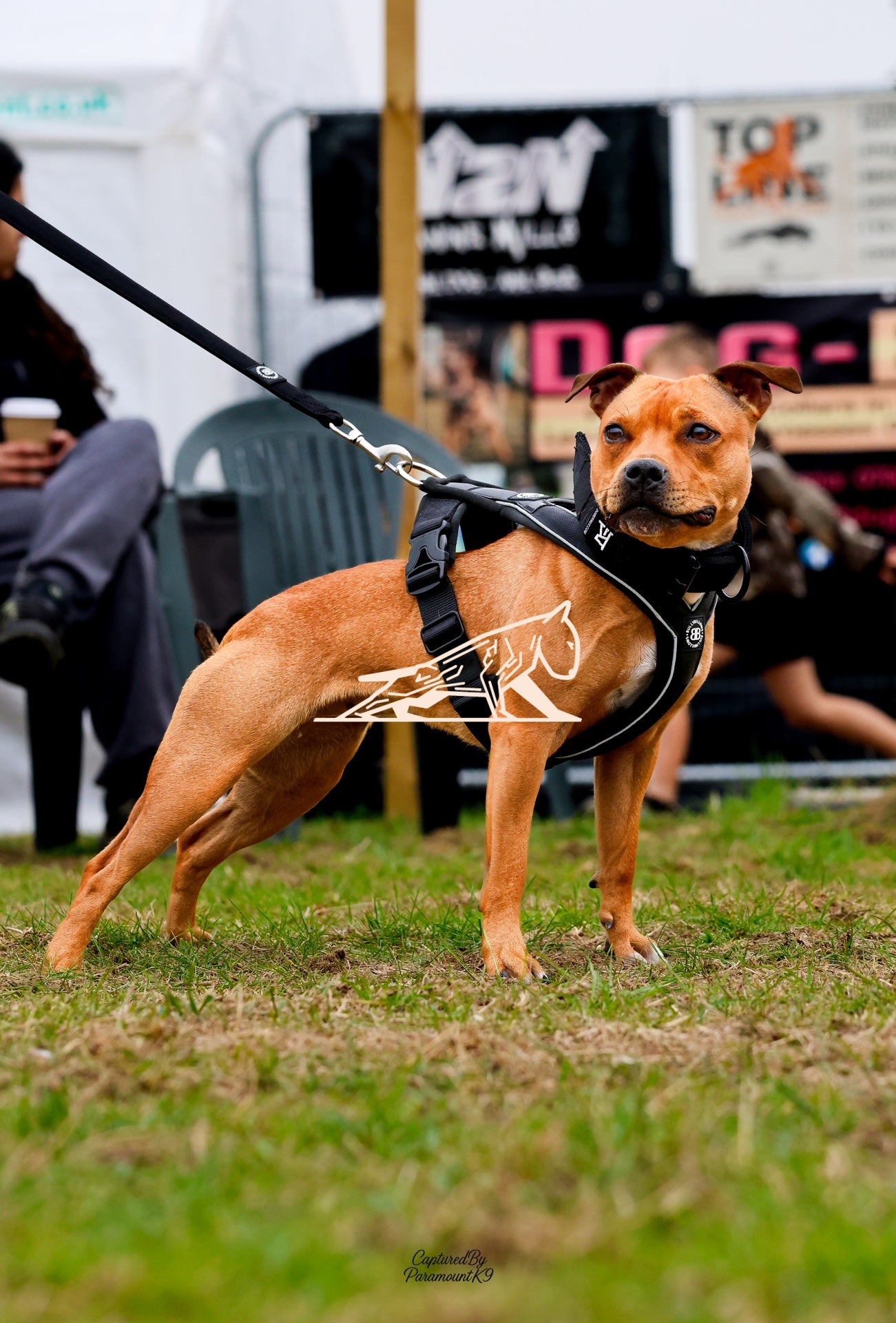 Topline's Ultra Games - Image 030