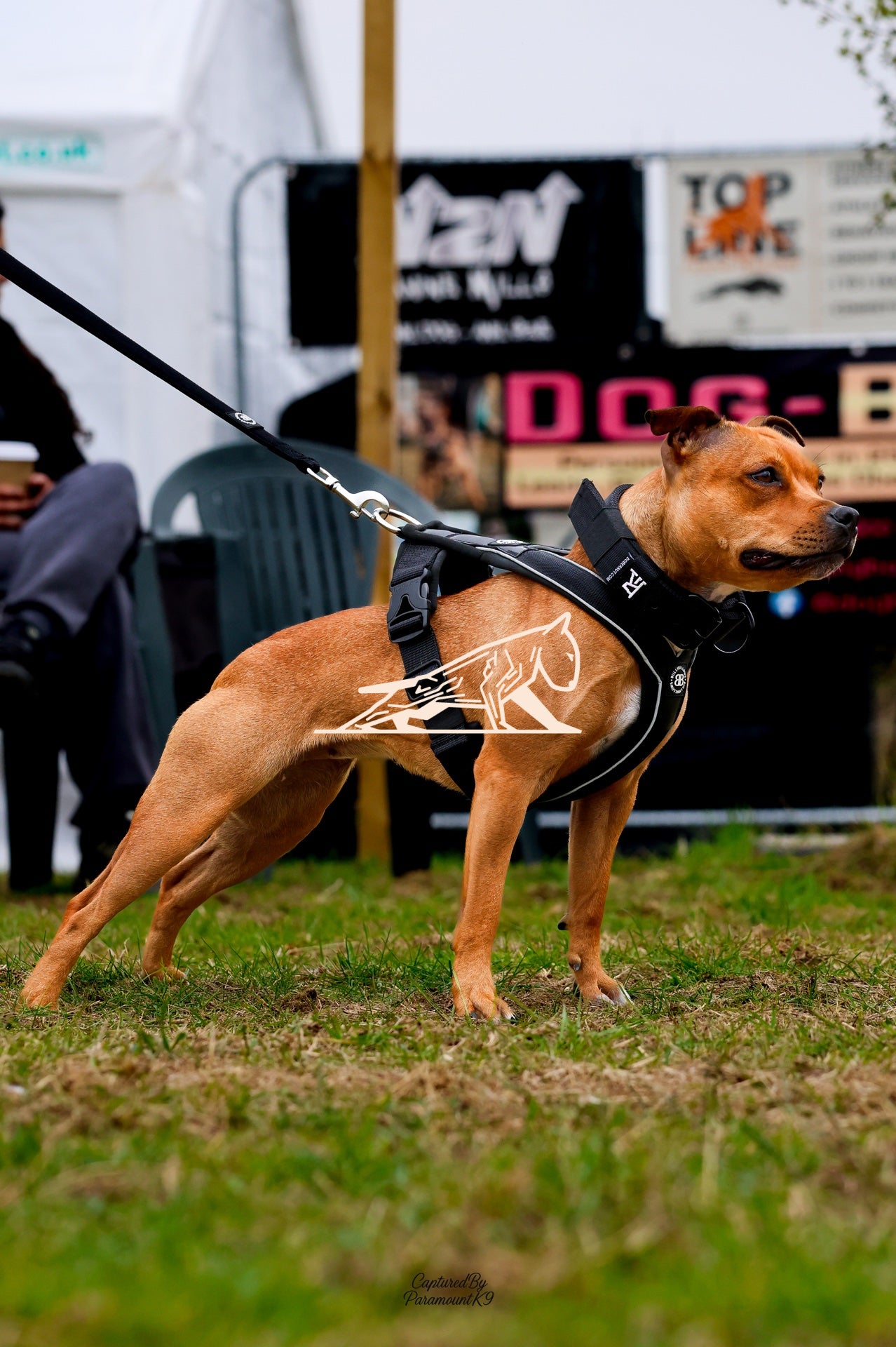 Topline's Ultra Games - Image 031