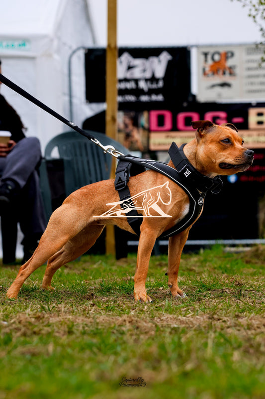 Topline's Ultra Games - Image 031