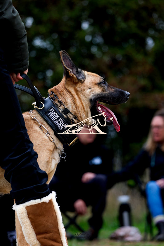 Topline's Ultra Games - Image 032