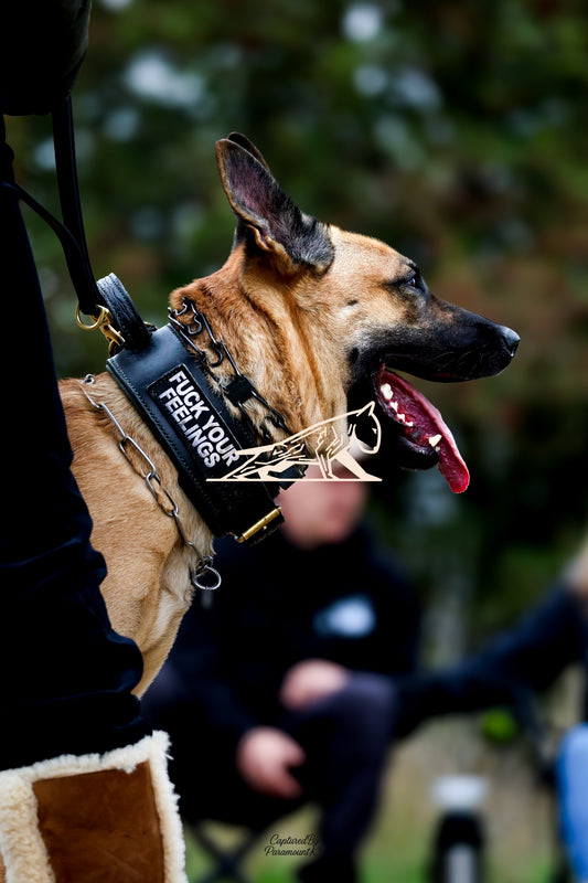 Topline's Ultra Games - Image 033