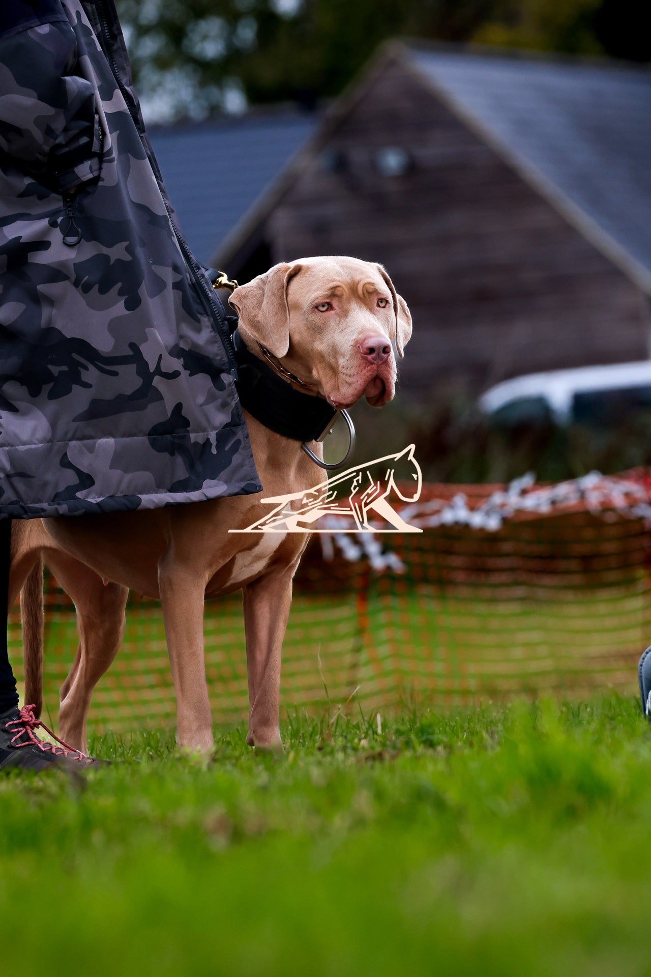 Topline's Ultra Games - Image 037