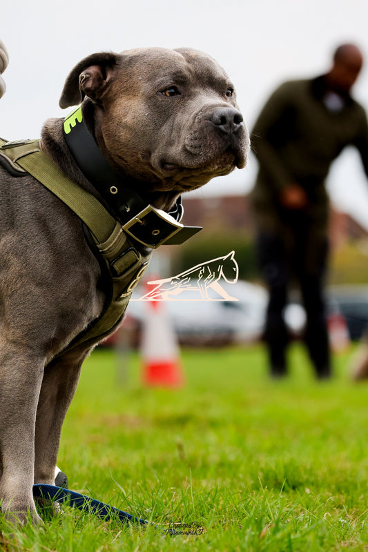 Topline's Ultra Games - Image 039