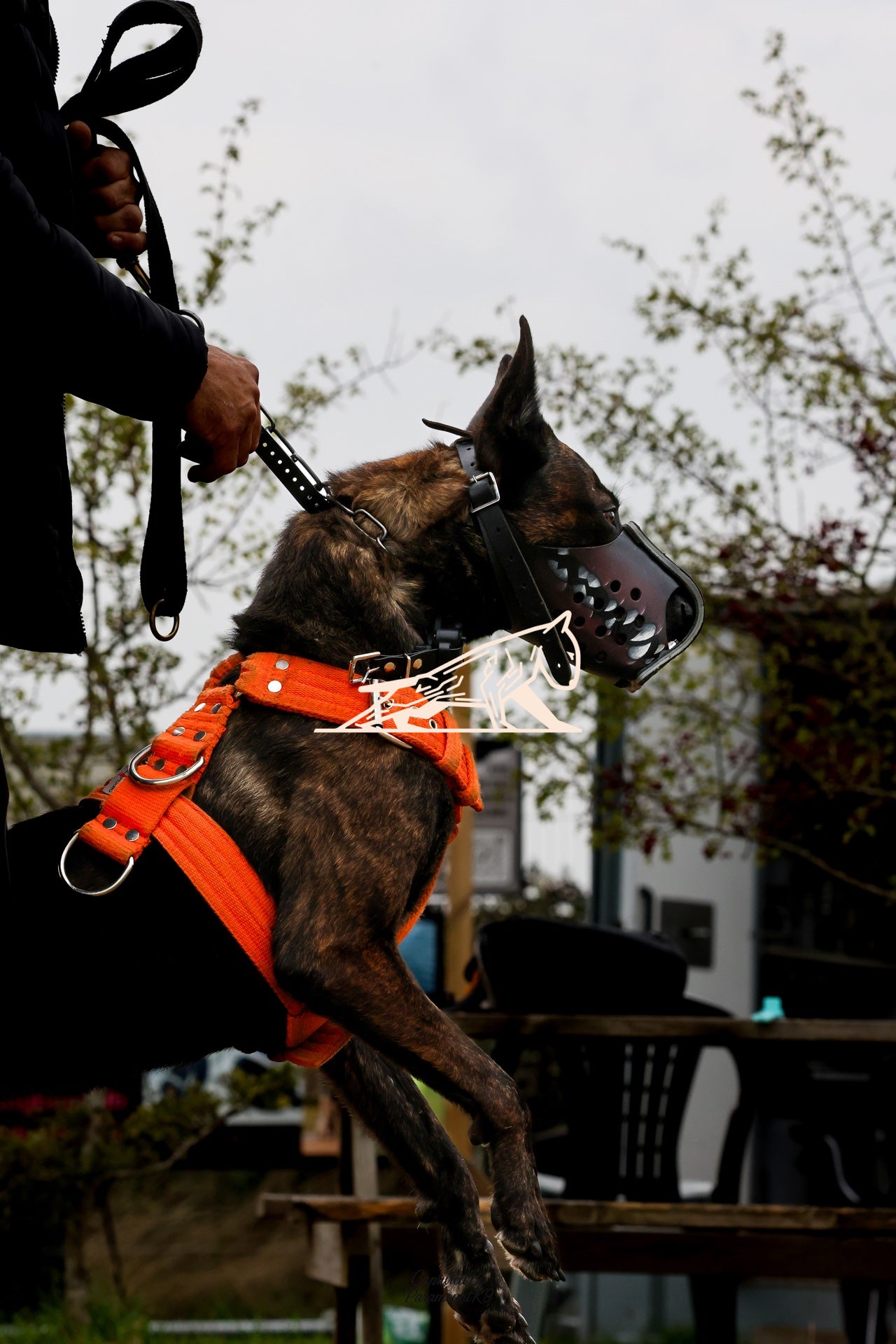 Topline's Ultra Games - Image 041