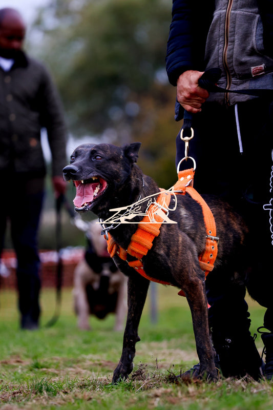 Topline's Ultra Games - Image 042