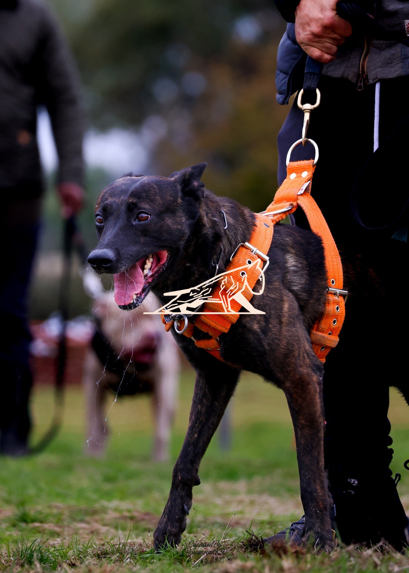 Topline's Ultra Games - Image 045