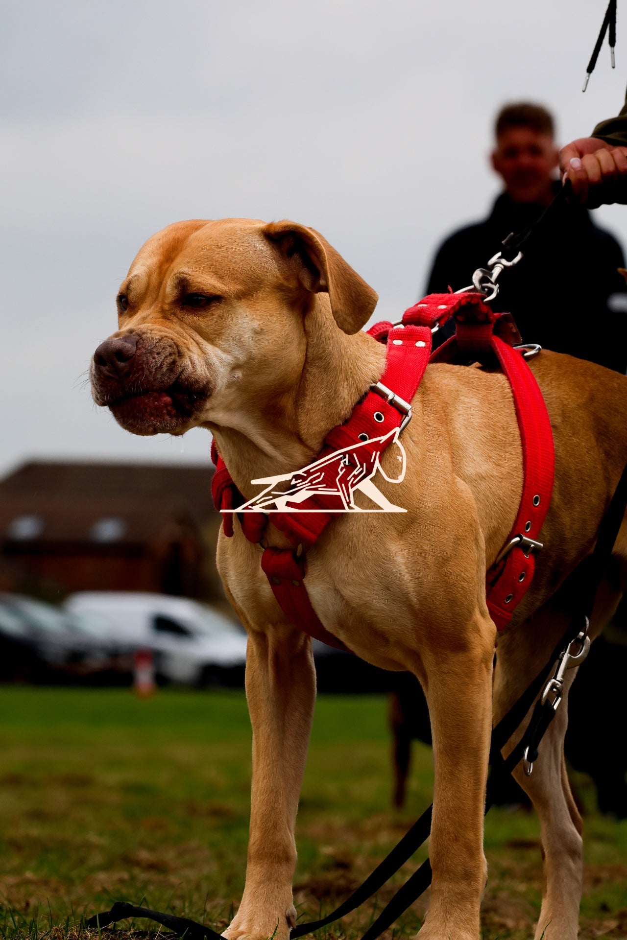 Topline's Ultra Games - Image 049