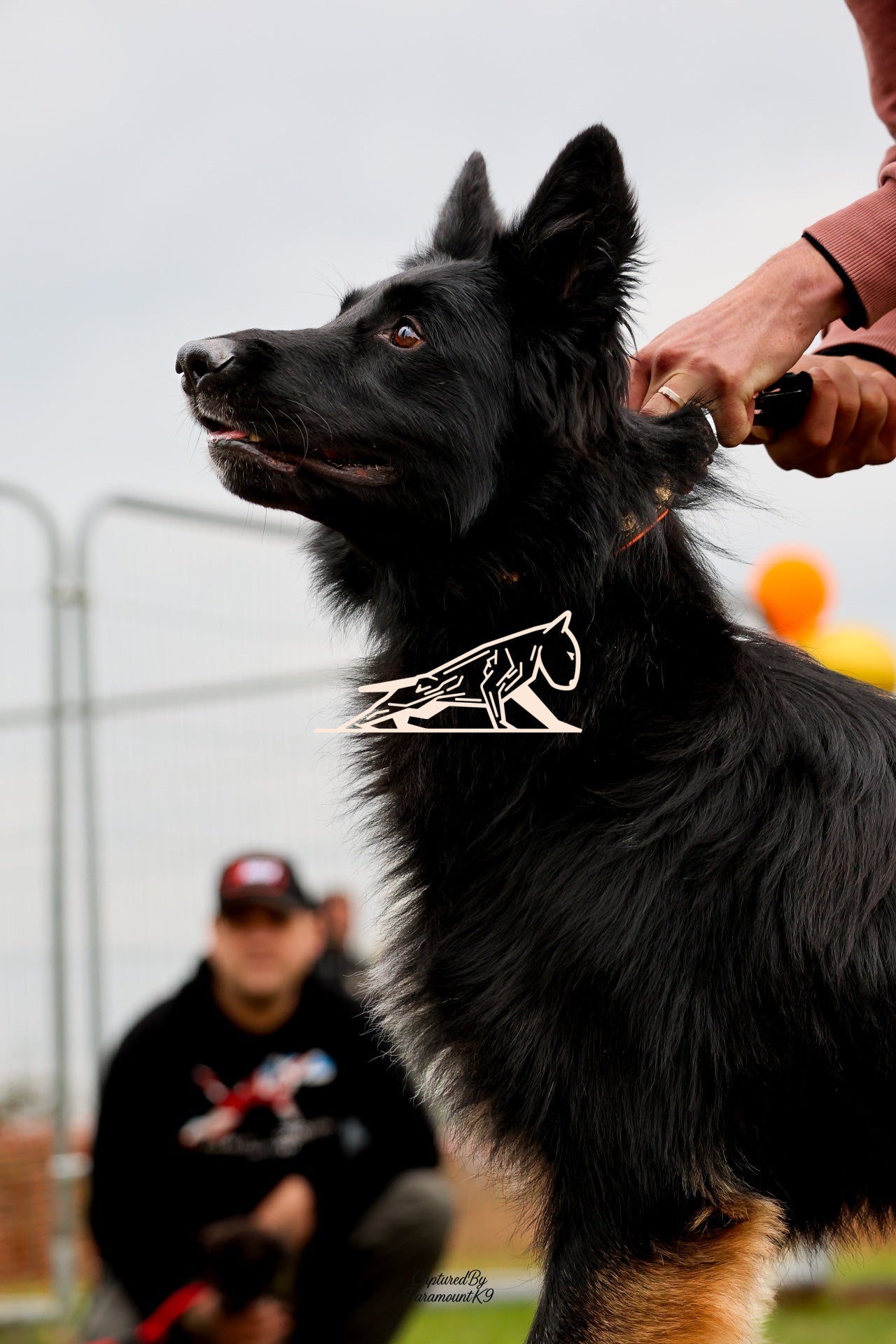 Topline's Ultra Games - Image 050