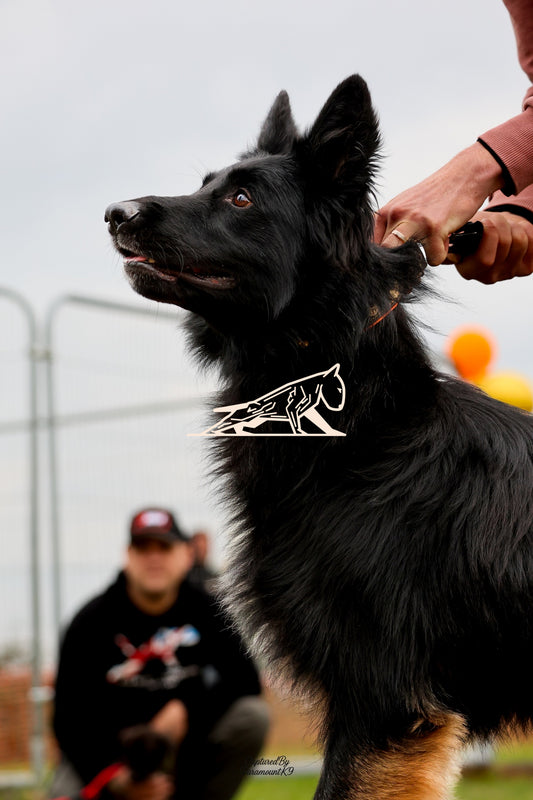 Topline's Ultra Games - Image 050