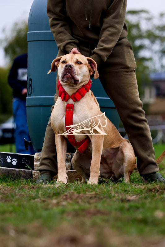 Topline's Ultra Games - Image 052