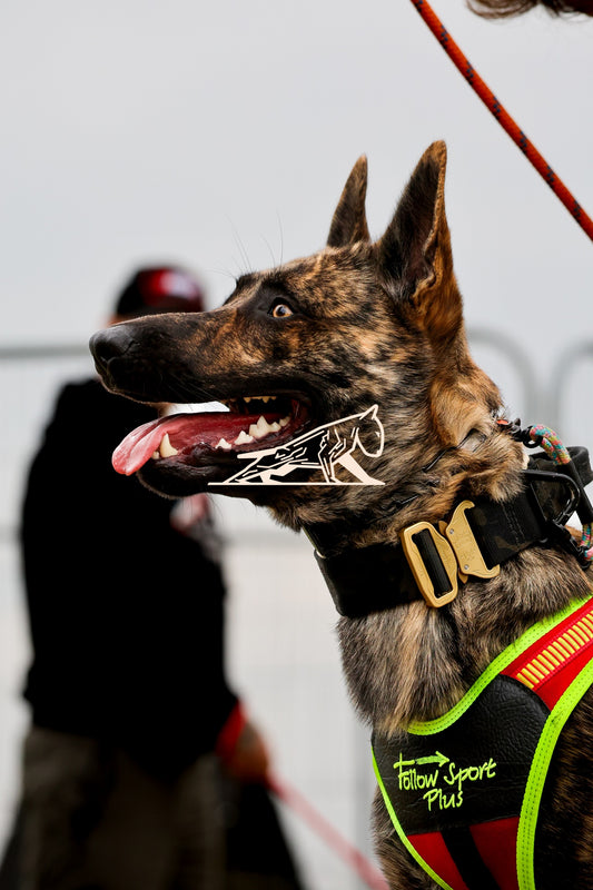 Topline's Ultra Games - Image 055