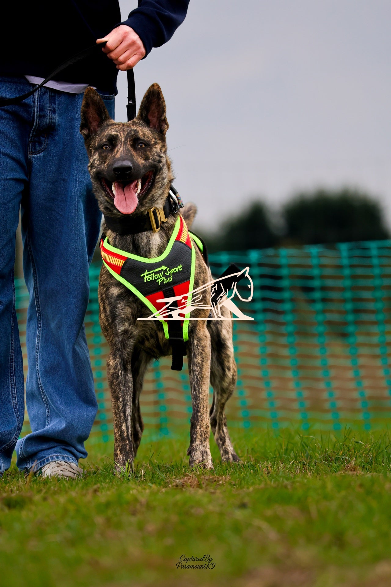 Topline's Ultra Games - Image 056