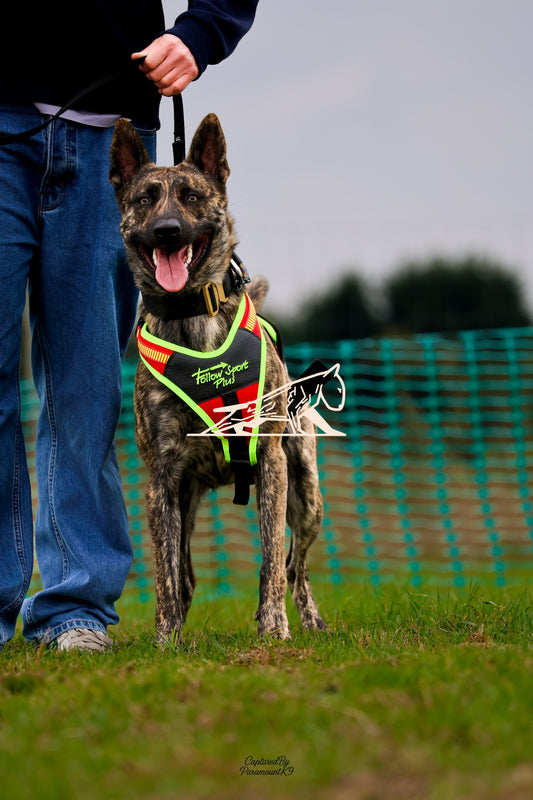 Topline's Ultra Games - Image 056