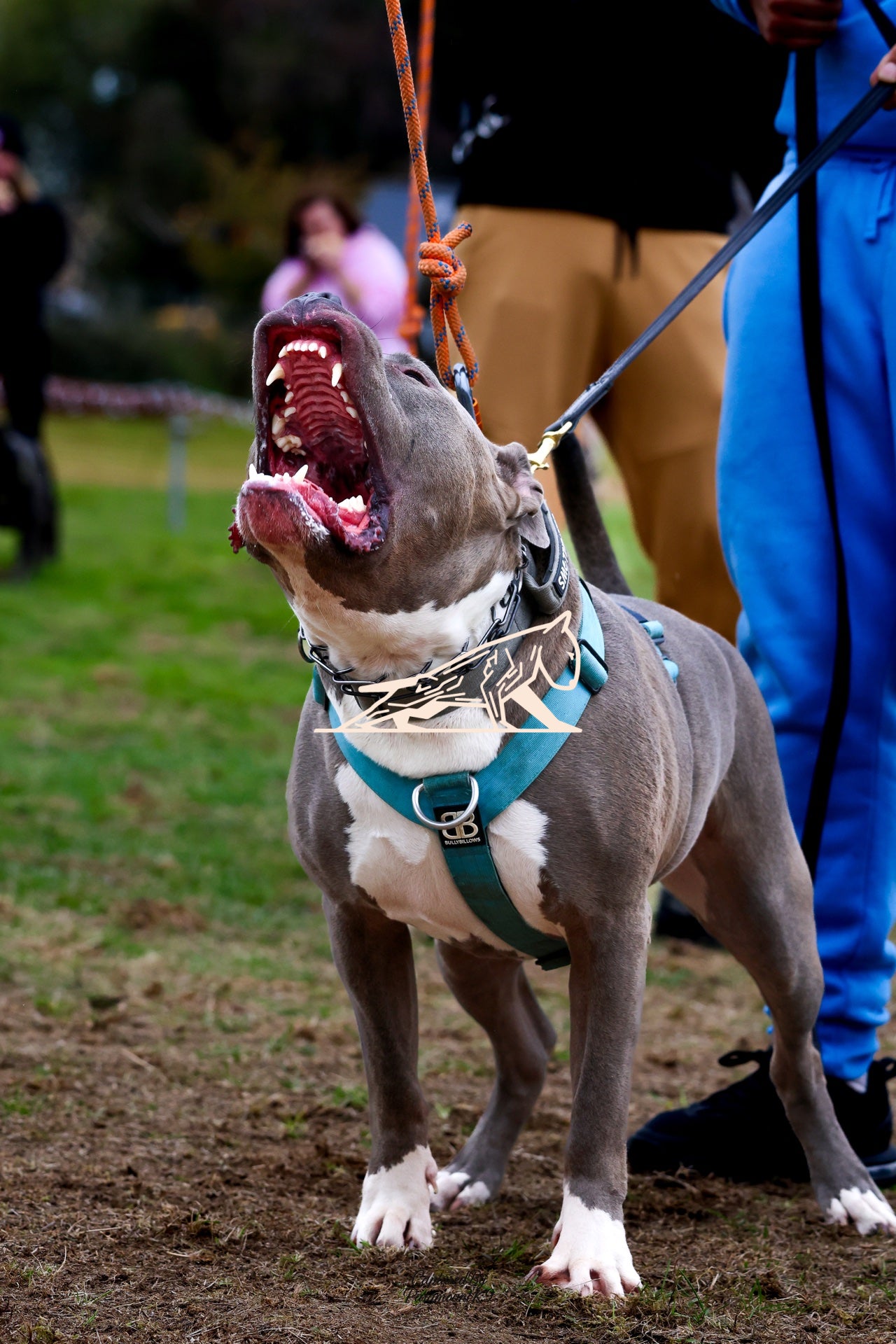 Topline's Ultra Games - Image 060