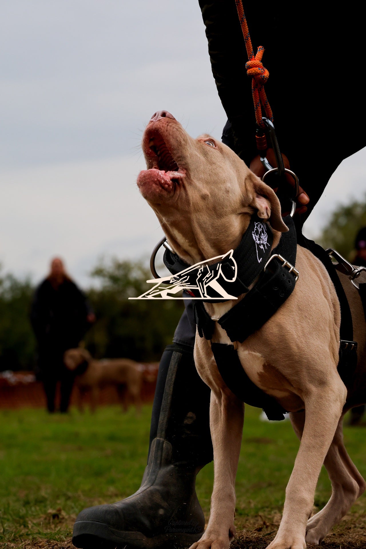 Topline's Ultra Games - Image 063