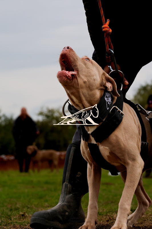 Topline's Ultra Games - Image 063