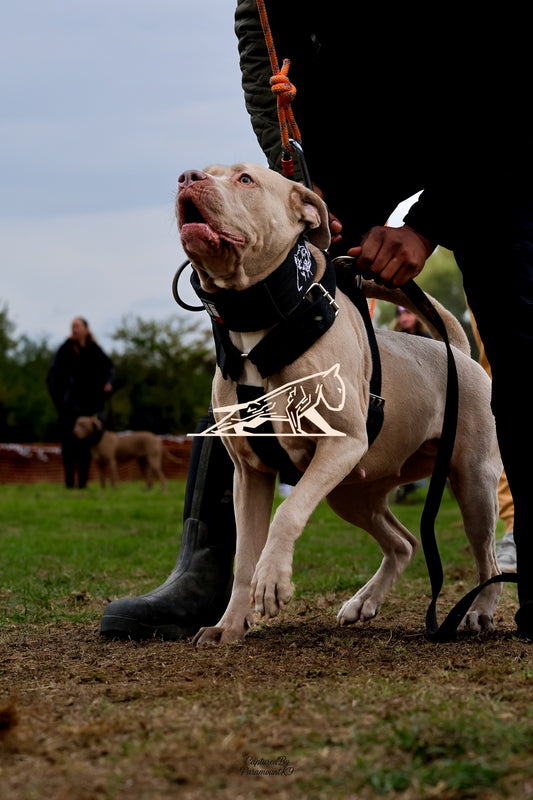 Topline's Ultra Games - Image 064