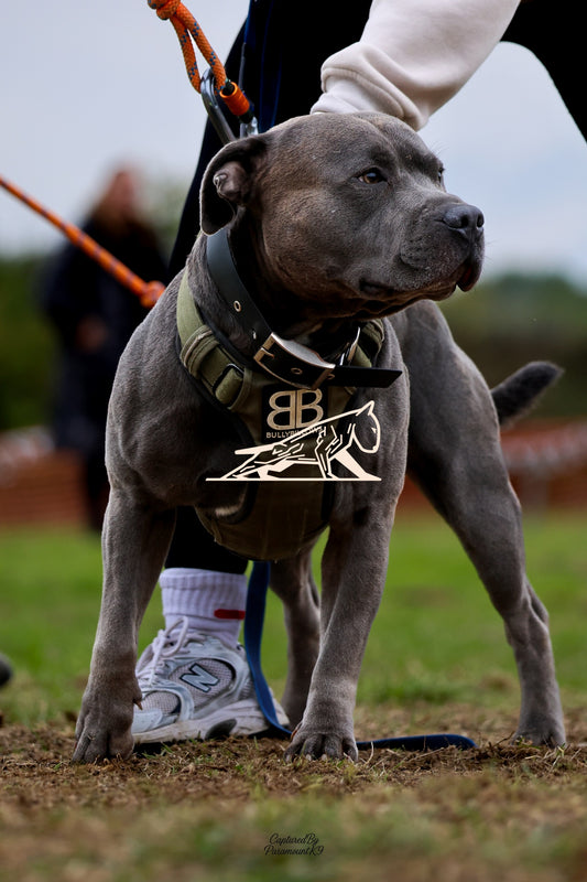 Topline's Ultra Games - Image 066