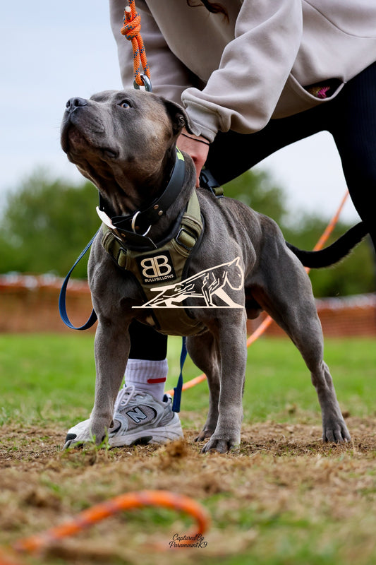 Topline's Ultra Games - Image 067