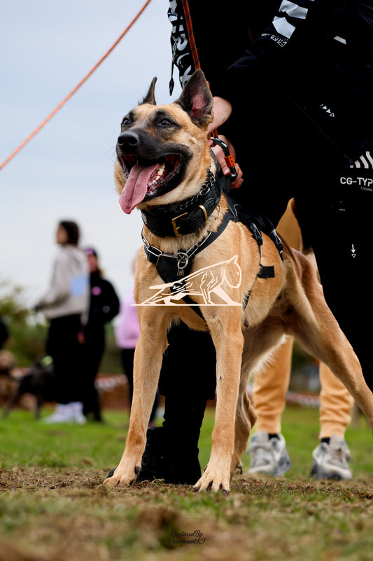 Topline's Ultra Games - Image 069