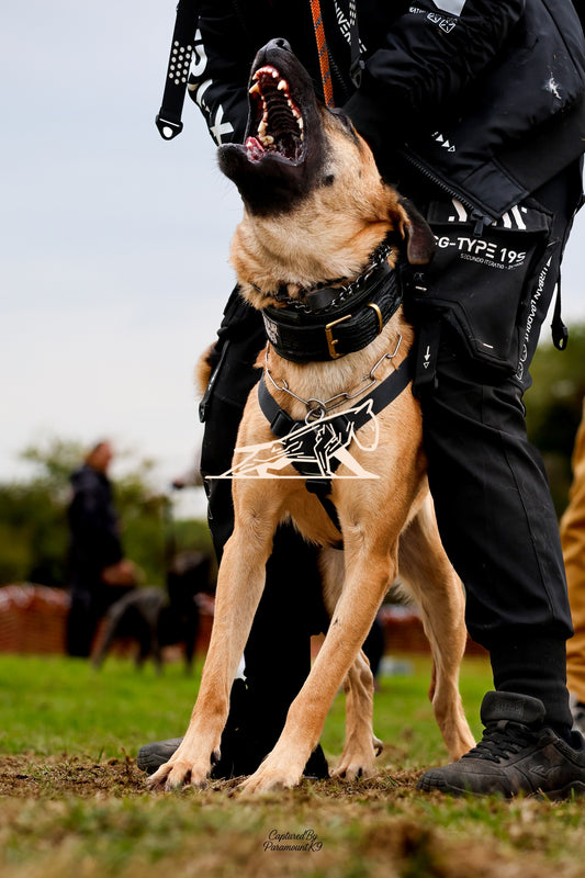 Topline's Ultra Games - Image 071