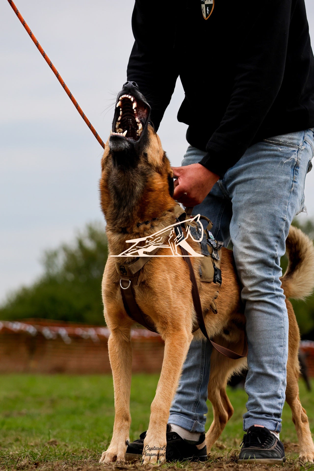 Topline's Ultra Games - Image 072