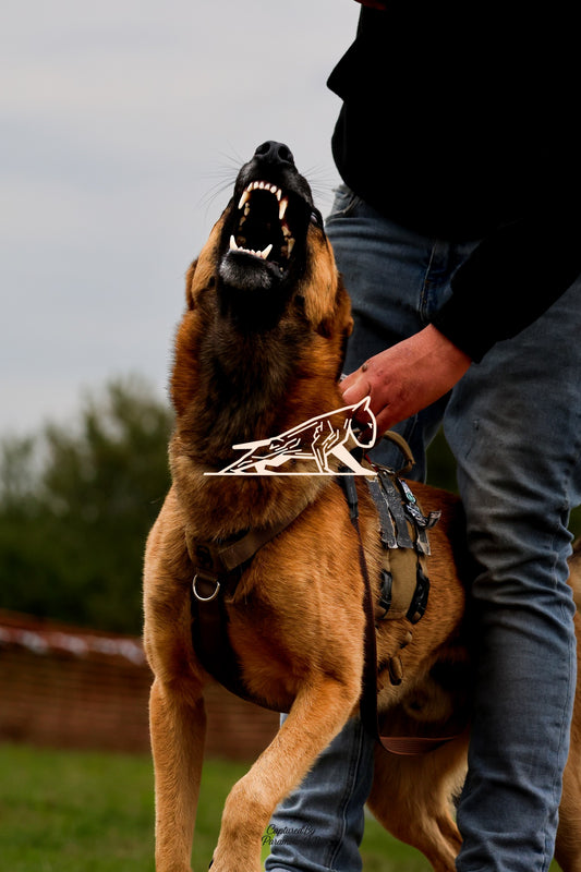 Topline's Ultra Games - Image 074