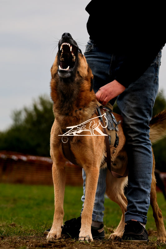 Topline's Ultra Games - Image 075