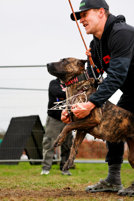 Topline's Ultra Games - Image 076