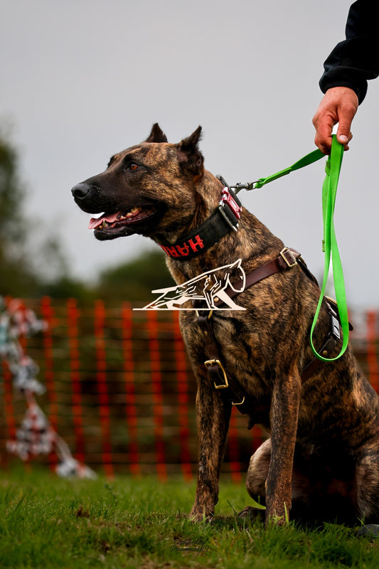 Topline's Ultra Games - Image 077