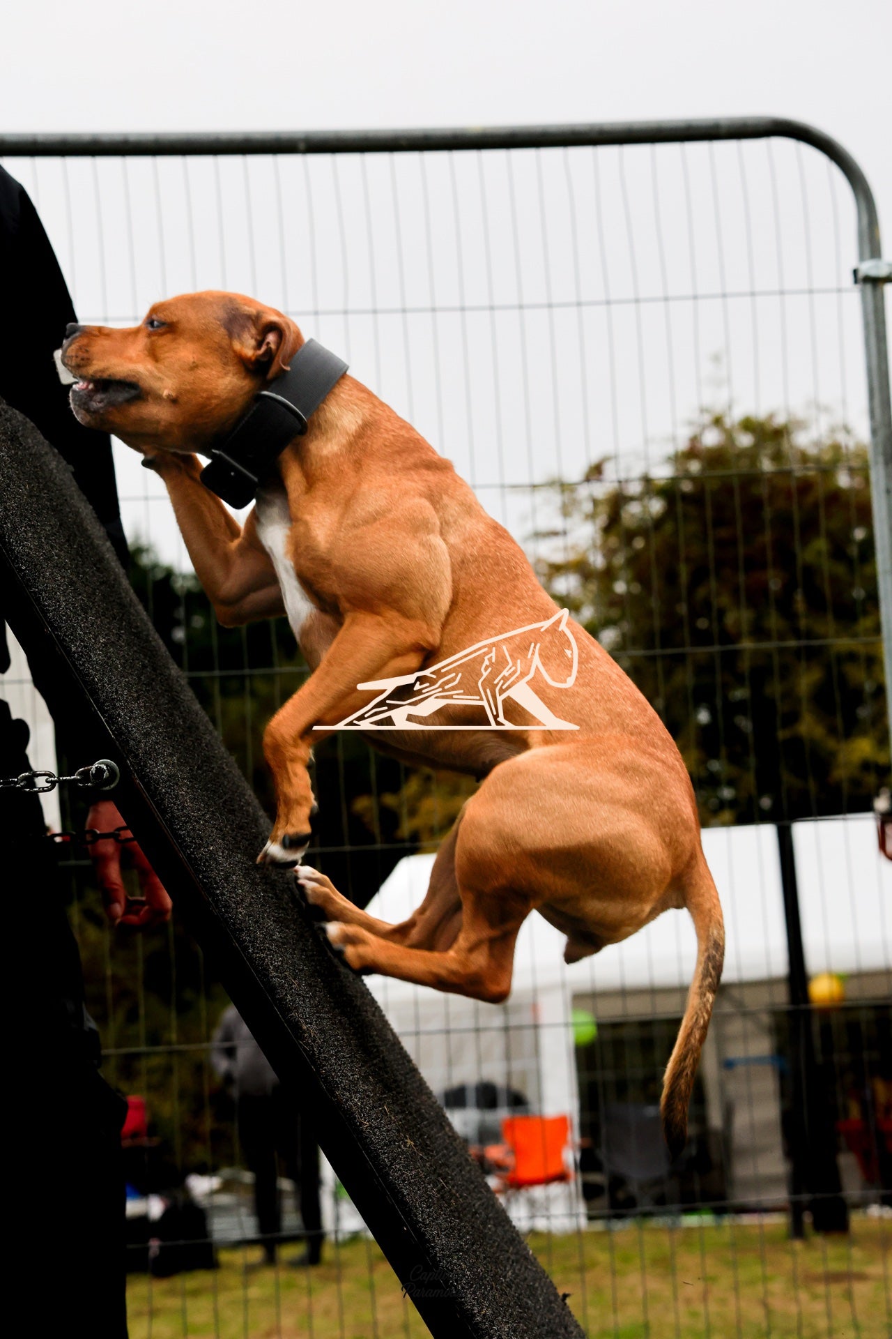 Topline's Ultra Games - Image 079