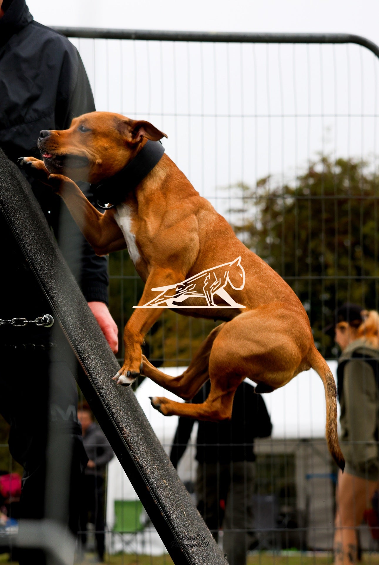 Topline's Ultra Games - Image 080