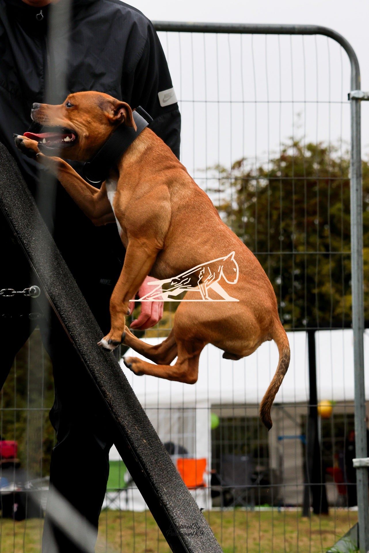 Topline's Ultra Games - Image 082