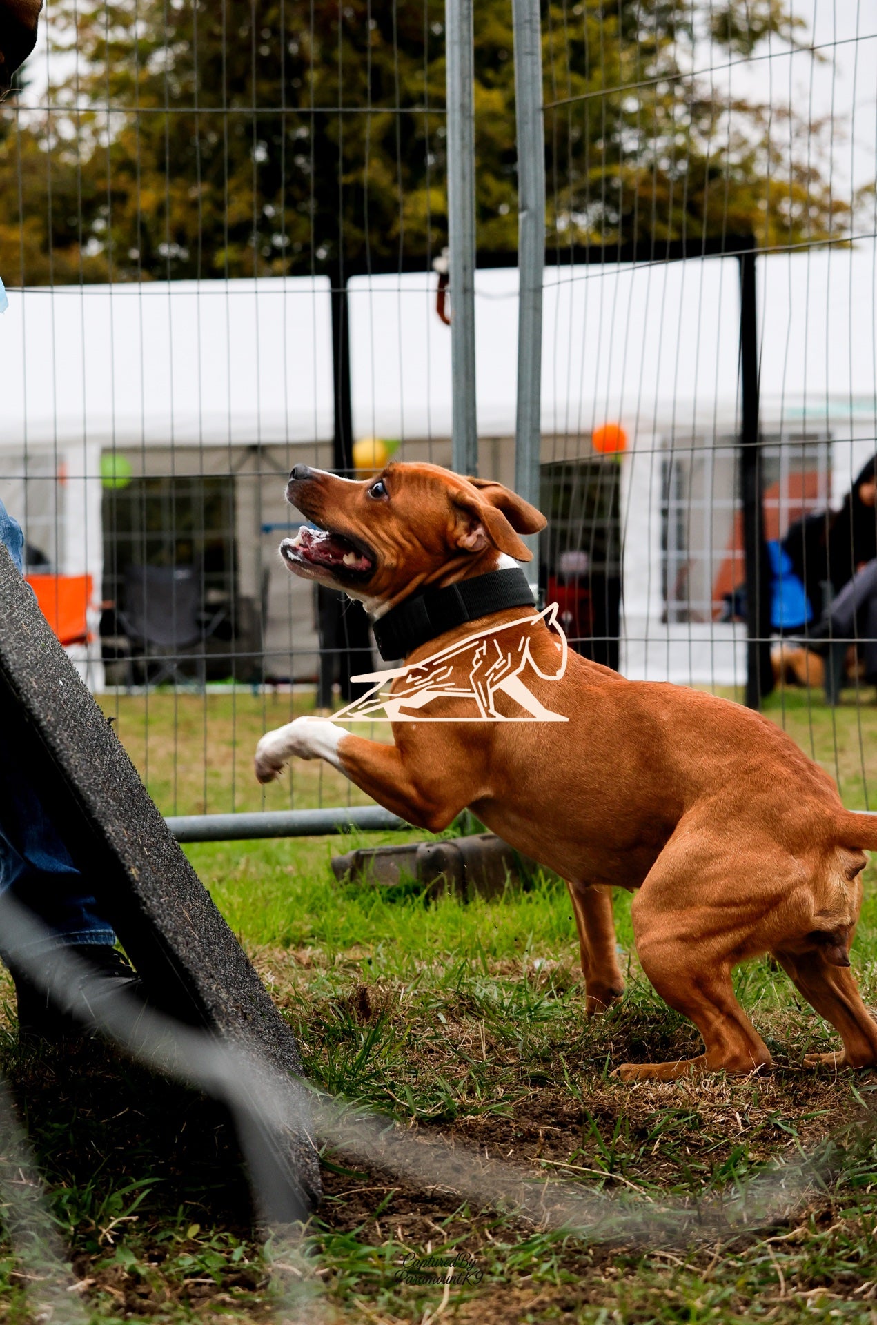 Topline's Ultra Games - Image 084