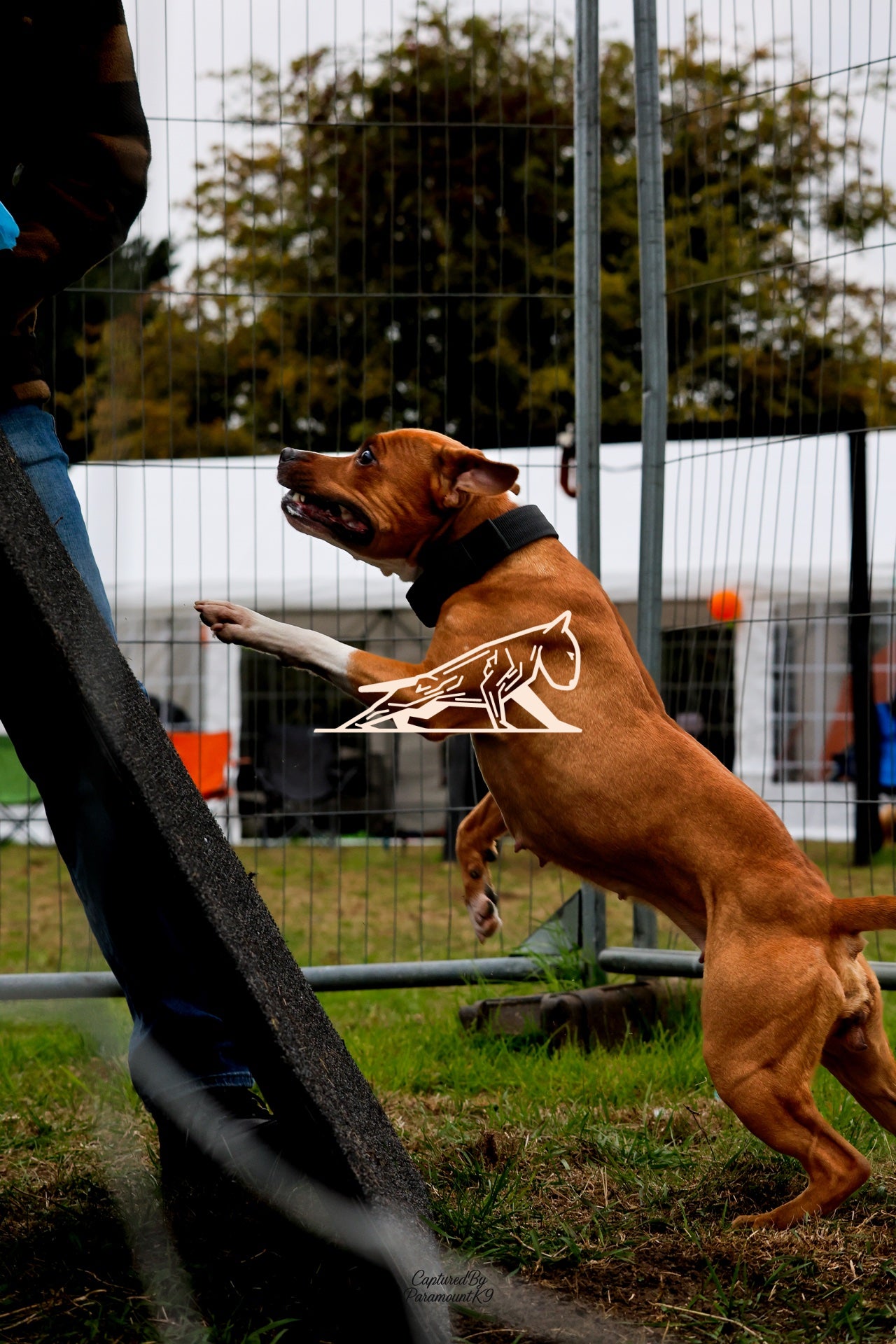 Topline's Ultra Games - Image 085