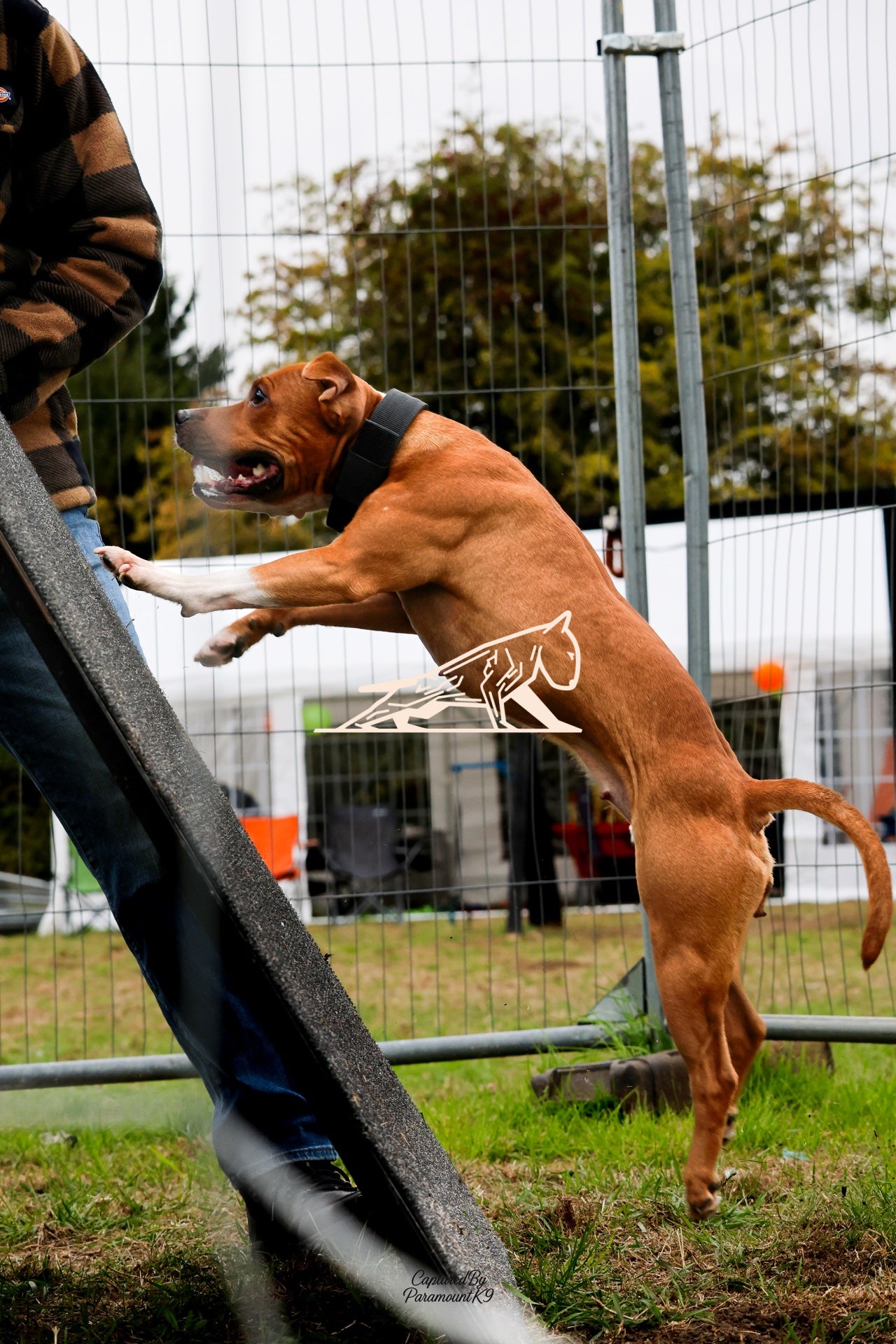 Topline's Ultra Games - Image 086