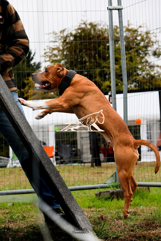 Topline's Ultra Games - Image 086